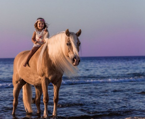 Horse Riding at the Mountains