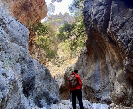 Kritsa Gorge